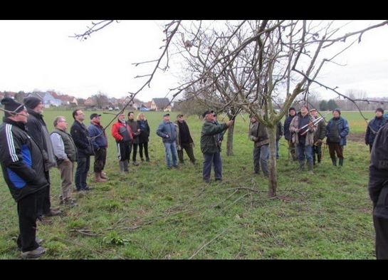 Cours de taille Waltenheim 2019