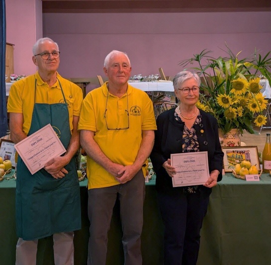 Article DNA Waltenheim-sur-Zorn Article DNA Waltenheim-sur-Zorn