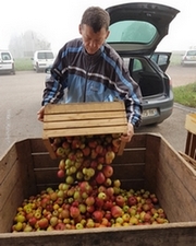 Bac à pommes Junatur