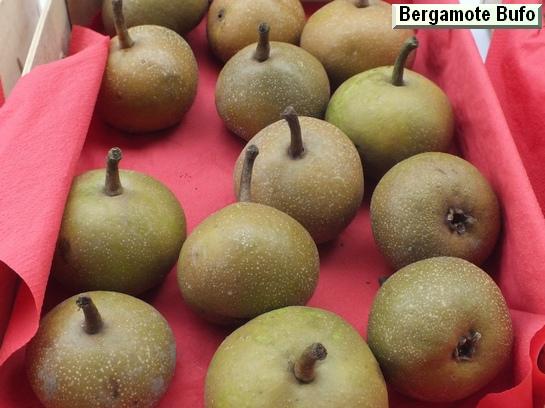 Poire_ad Bergamote Sannier