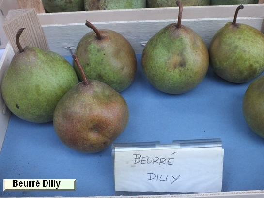 Poire_ad Beurré Dilly