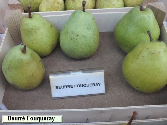 Poire_ad Beurré Fouqueray