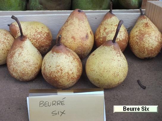 Poire_ad Beurré Six