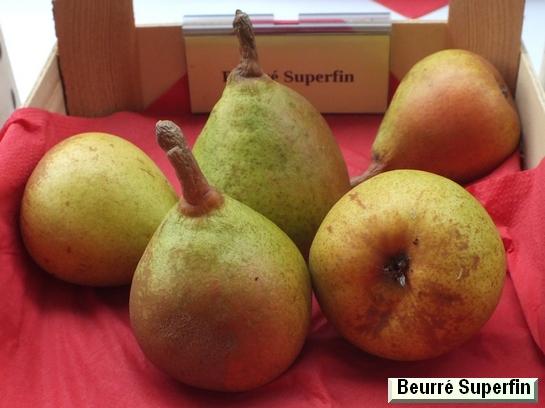 Poire_ad Beurré Superfin
