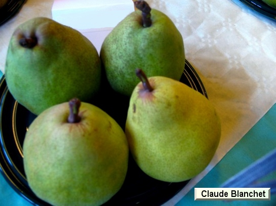 Poire_ad Claude Blanchet