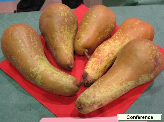 Poire_ad Conférence