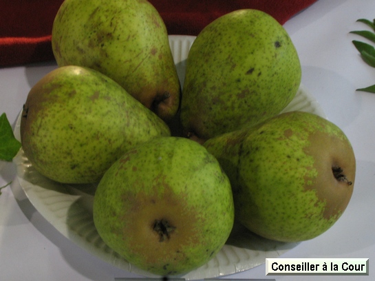 Poire_ad Conseiller à la Cour Poire_ad Conseiller à la Cour