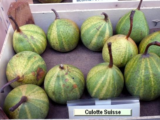 Poire_ad Culotte Suisse Poire_ad Culotte Suisse