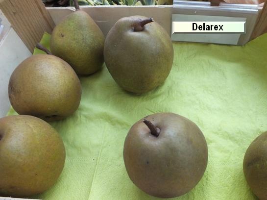 Poire_ad Delarex