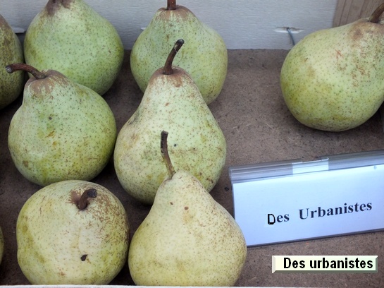 Poire_ad Des Urbanistes
