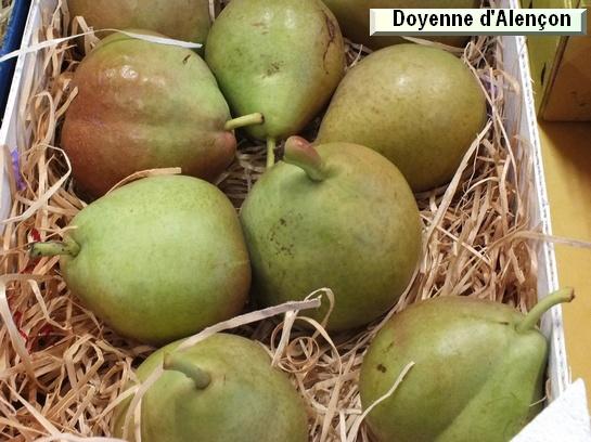Poire_ad Doyenne d'Alençon