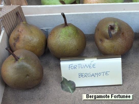 Poire_ad Bergamote Fortunée