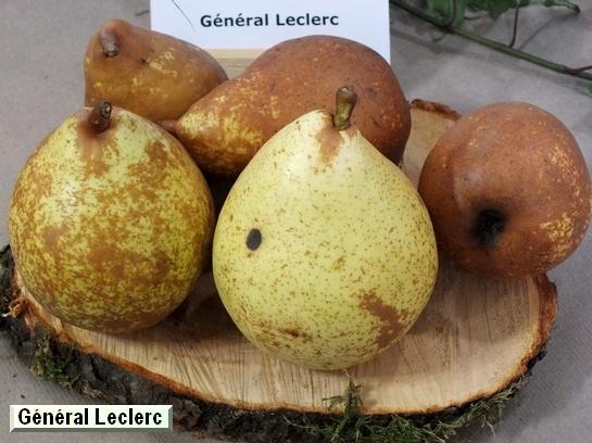 Poire_eh Général Leclerc
