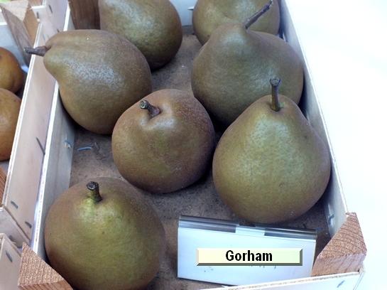 Poire_eh Gorham Poire_eh Gorham