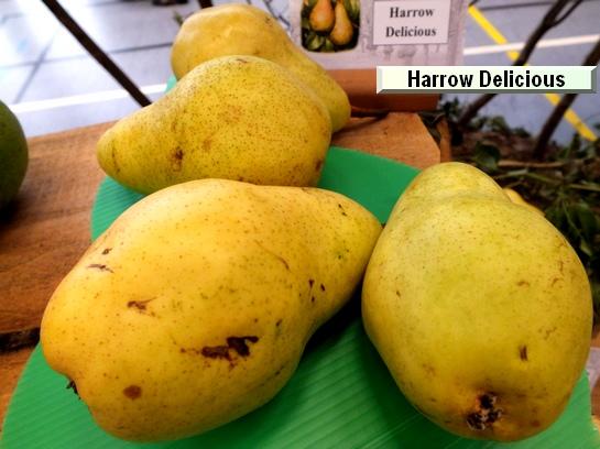 Poire_eh Harrow Delicious Poire_eh Harrow Delicious