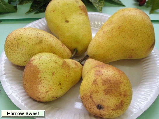 Poire_eh Harrow Sweet Poire_eh Harrow Sweet