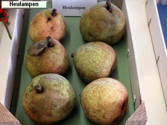 Poire_eh Heulampen
