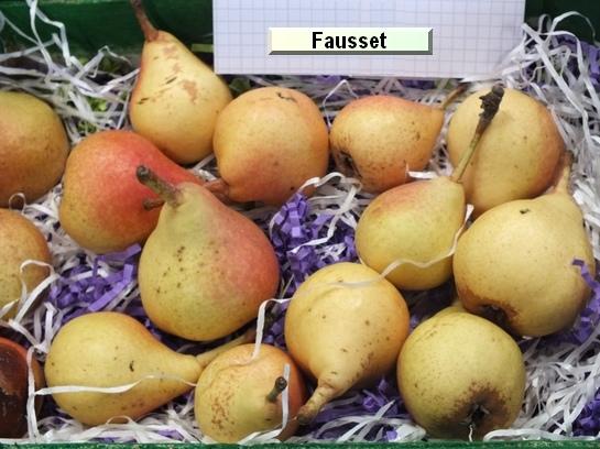 Poire_eh Fausset