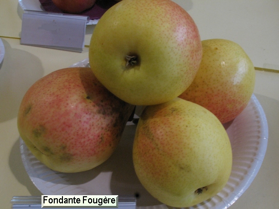 Poire_eh Fondante Fougère