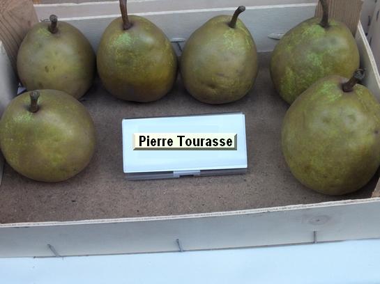 Poire_mp Pierre Tourasse Poire_mp Pierre Tourasse