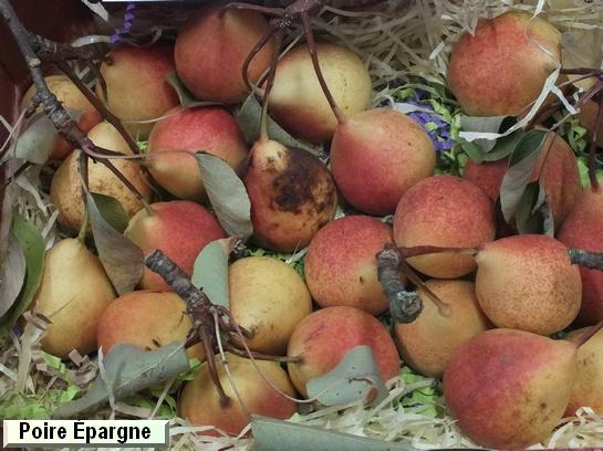 Poire_mp Poire Épargne