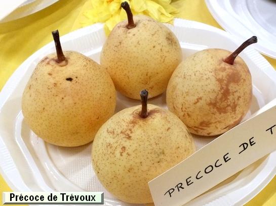 Poire_mp Précoce de Trévoux Poire_mp Précoce de Trévoux