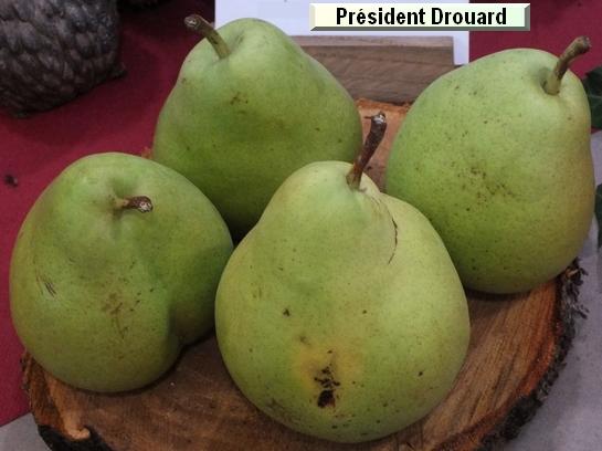 Poire_mp Président Drouard Poire_mp Président Drouard