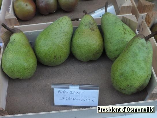 Poire_mp Président d'Osmonville