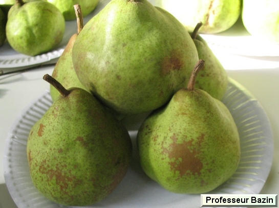Poire_mp Professeur Bazin