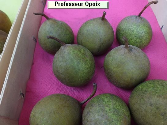 Poire_mp Professeur Opoix Poire_mp Professeur Opoix