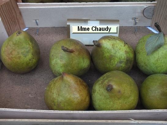 Poire_mp Madame Chaudy
