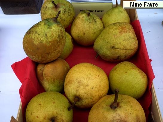 Poire_mp Madame Favre