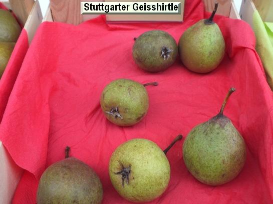Poire_qu Stuttgarter Geisshirtle