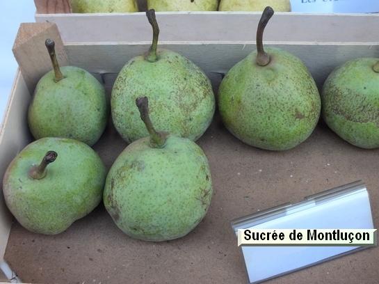 Poire_qu Sucrée de Montluçon