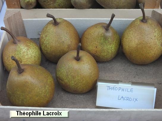Poire_qu Théophile Lacroix