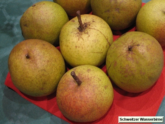 Poire_qu Schweitzer Wasserbirne