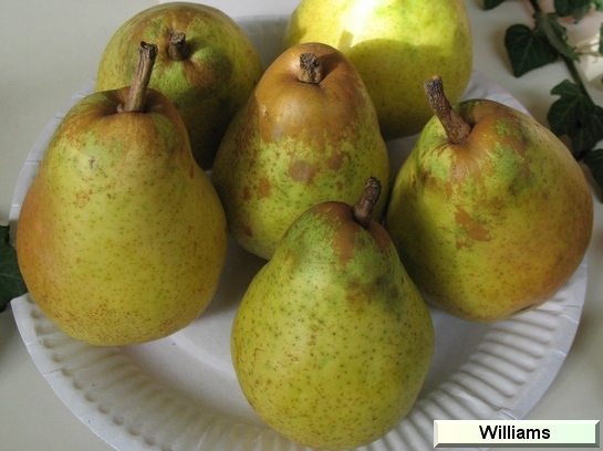 Poire_vz Williams Bon Chétien