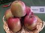 Braeburn