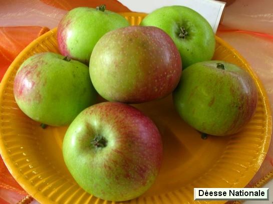 Pomme_ad Déesse Nationale