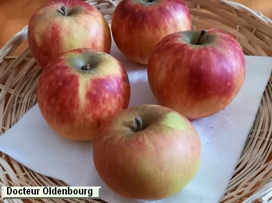 Pomme_ad Docteur Oldenbourg