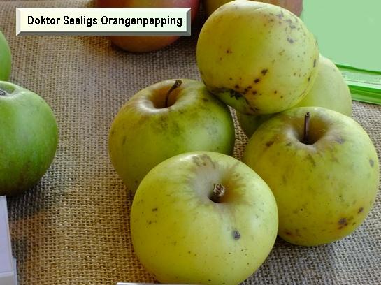 Pomme_ad Doktor Seeligs Orangenpepping