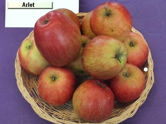 Pomme_ad Arlet (Swiss Gourmet)
