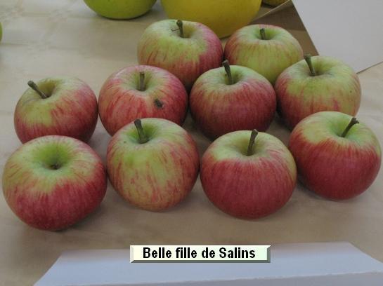 Pomme_ad Belle fille de Salins