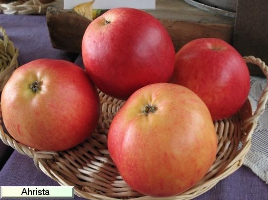 Pomme_ad Ahrista