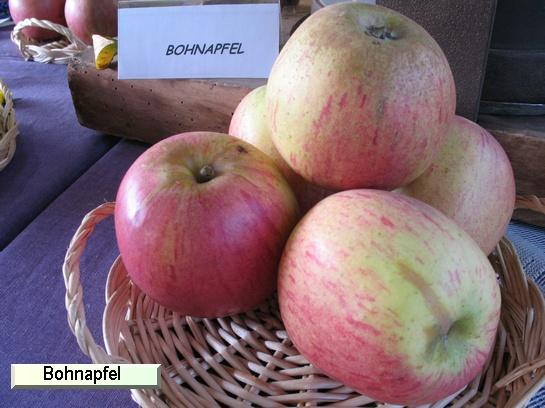 Pomme Calville Rouge