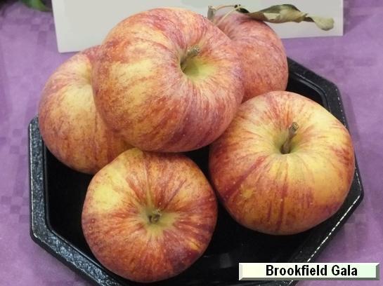 Pomme_ad Brookfield Gala