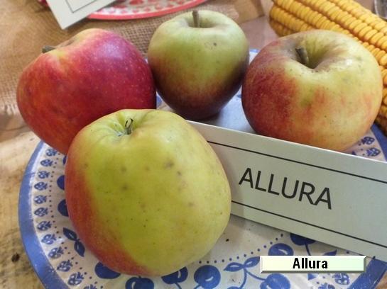 Pomme_ad Allura