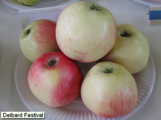 Pomme Delbard Festival®