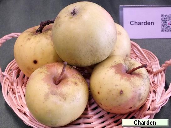 Pomme_ad Charden