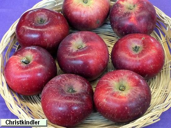 Pomme_ad Christkindler